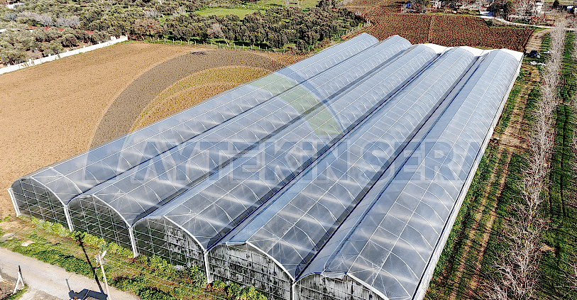 sera nedir? sera nasıl kurulur?