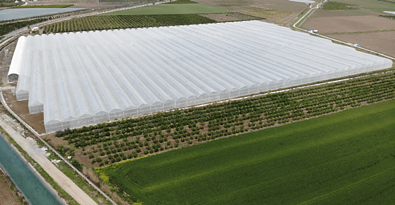 What is a Greenhouse? What You Need to Know About Greenhouse Setup and Greenhouse Types